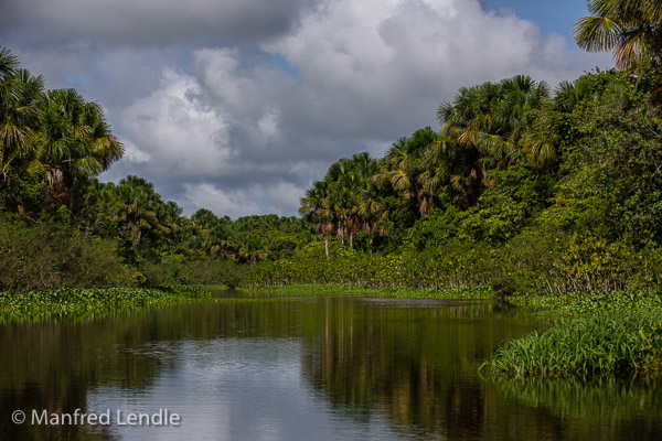 Landschaften und Pflanzenwelt des Orinoco-Deltas