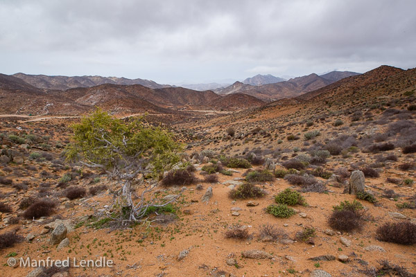 Landschaften im Richtersveld Landschaften im Richtersveld