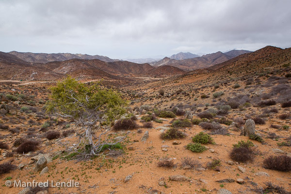 Landschaften im Richtersveld