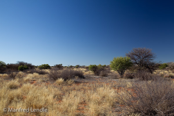 Landschaften der Kalahari