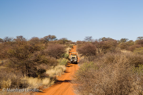 Unterwegs in der Kalahari