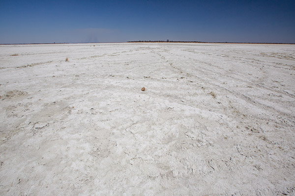 Landschaft der Makgadikgadi