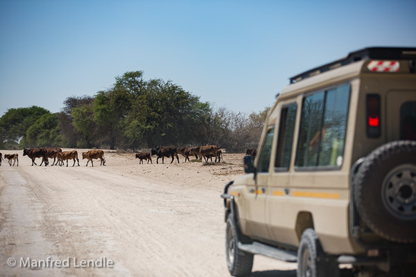 Unterwegs in der Makgadikgadi Unterwegs in der Makgadikgadi