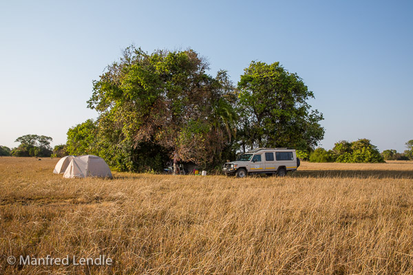 Unterwegs im Kasanka NP und Bangweulu Wetlands