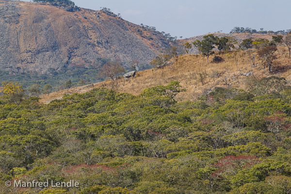 Landschaft der Mutinondo Wilderness